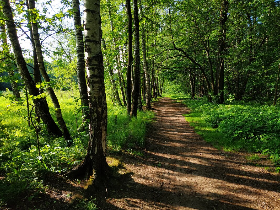 Зарисовки неюного натуралиста - Андрей Лукьянов