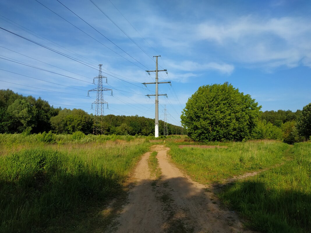 Зарисовки неюного натуралиста - Андрей Лукьянов Зарисовки неюного натуралиста - Андрей Лукьянов