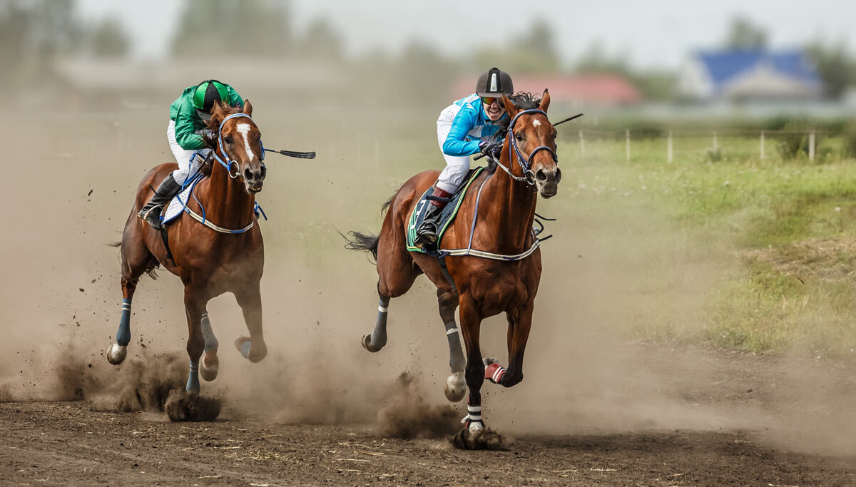 Скачки - SanSan 