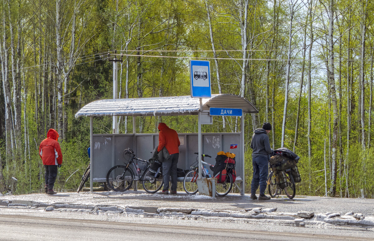 Отдых на дачах - Сергей Цветков