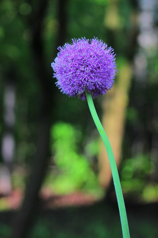 ... - Владимир иванов