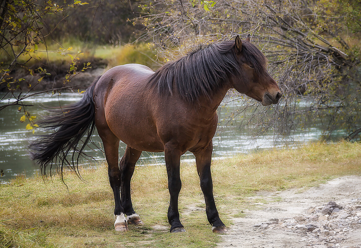 Вздремну маленько ... - Марина Юдинских