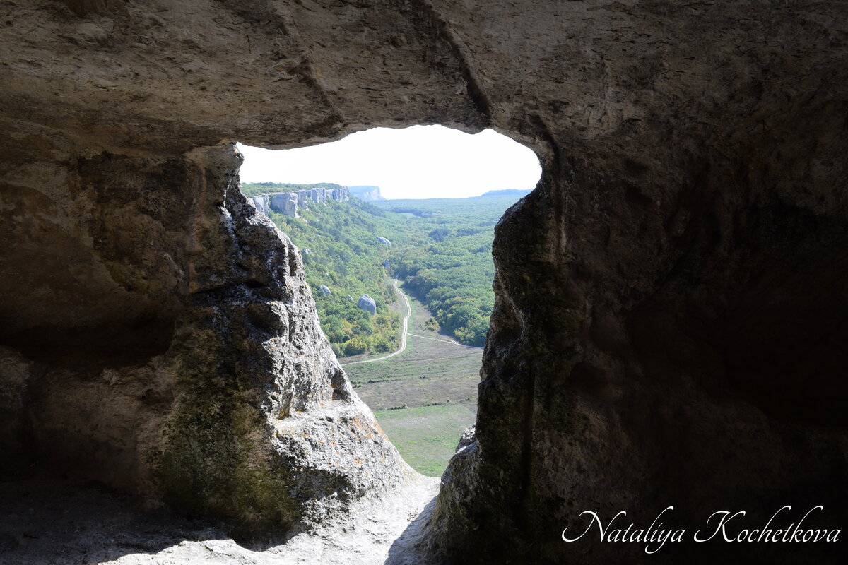 Природа Крыма - Amazing Cosmea Природа Крыма - Amazing Cosmea