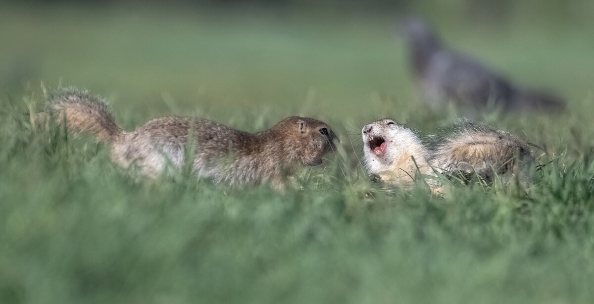 Разговор по душам - Марина Фомина.