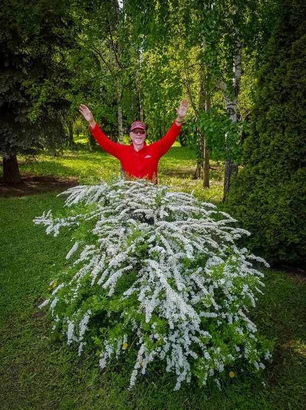 Здравствуй, Лето! - arkadii 