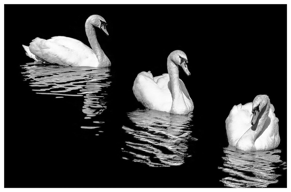 Лебединое озеро - Игорь Викторов Лебединое озеро - Игорь Викторов