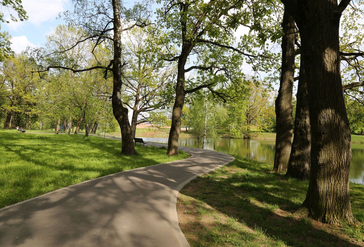 Май, у пруда - ZNatasha -