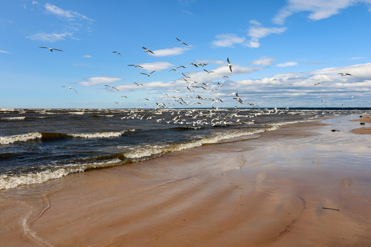 Первый день лета - skijumper Иванов
