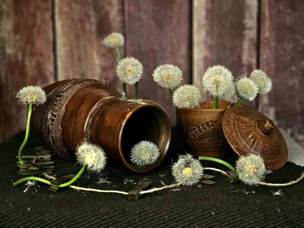 Одуванчиковый блюз. - Галина Левина