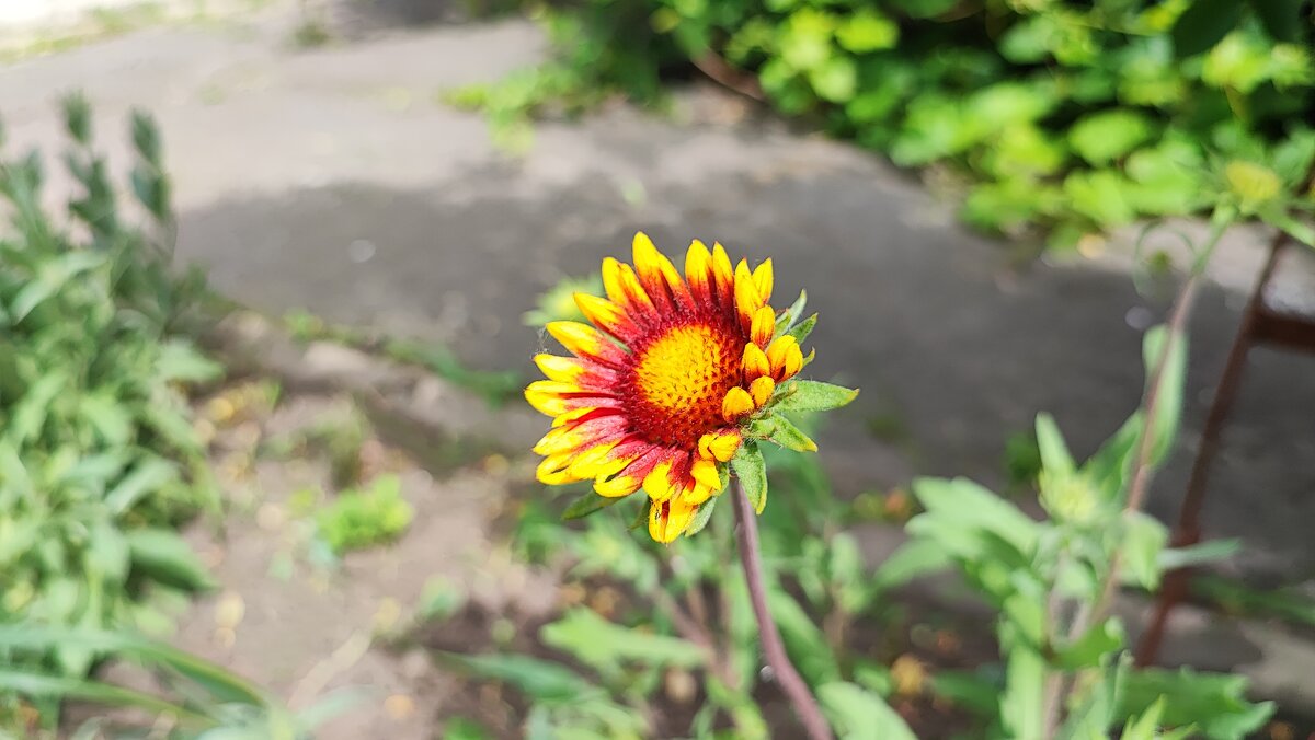 ,,, - Сергей Тимоновский