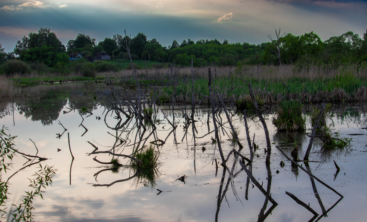 Жирятинский район - Sergei Vikulov Жирятинский район - Sergei Vikulov