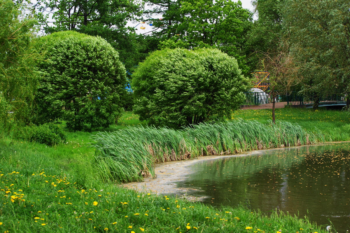 ПАРК ПОБЕДЫ - Виктор Никитенко ПАРК ПОБЕДЫ - Виктор Никитенко