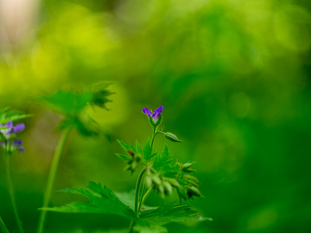 ___ - Yuriy V ___ - Yuriy V