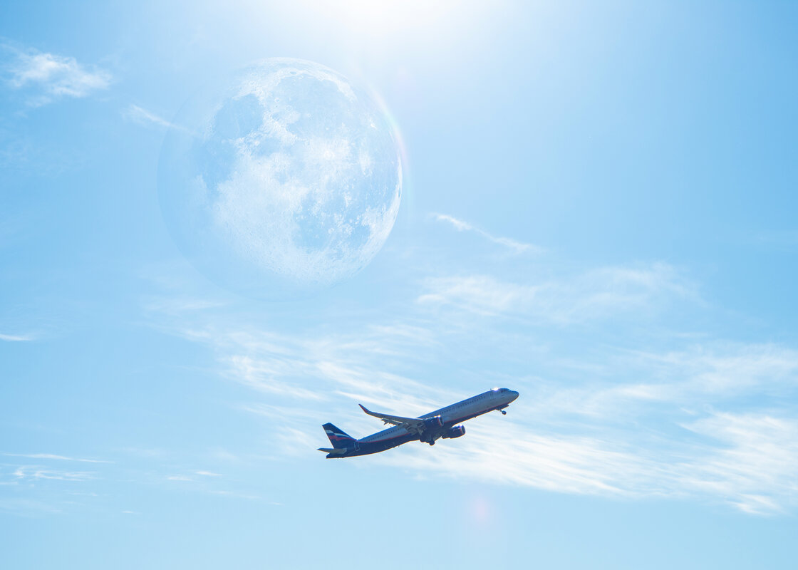 *** - Николай Чекалин