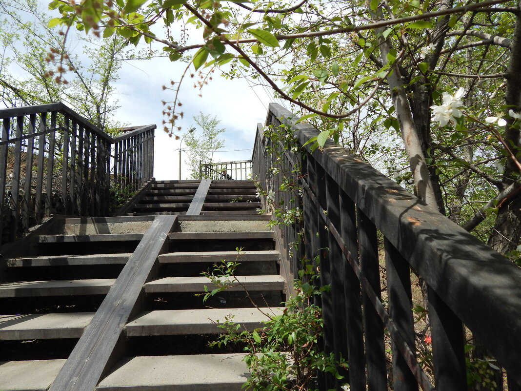 Лестница на мост - Екатерина Панова