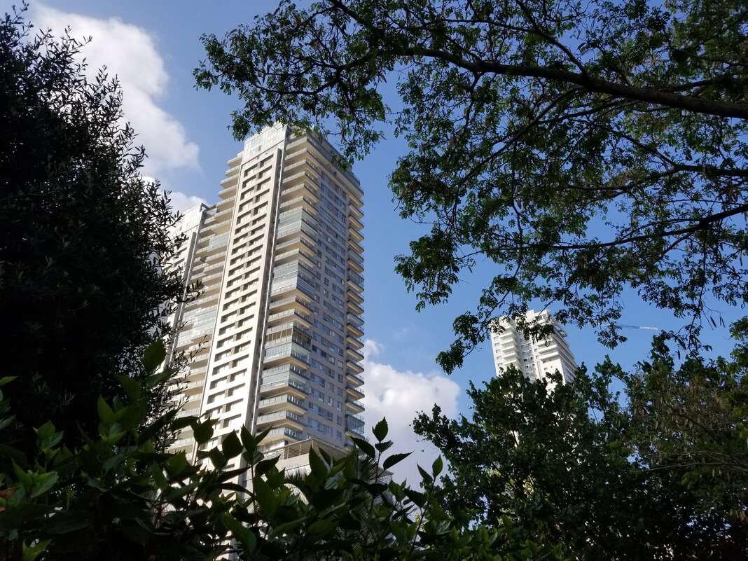 Прогулки по Ашдоду ! - Светлана Хращевская Прогулки по Ашдоду ! - Светлана Хращевская