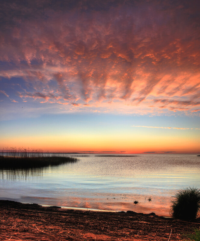 *** - Сергей Григорьев