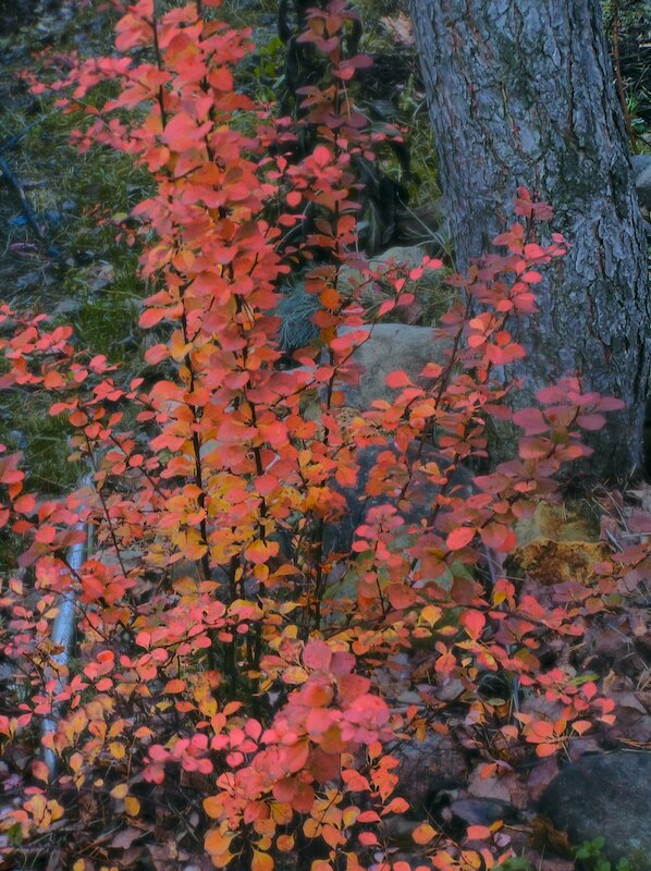 Эксперимент 11 - Andy 