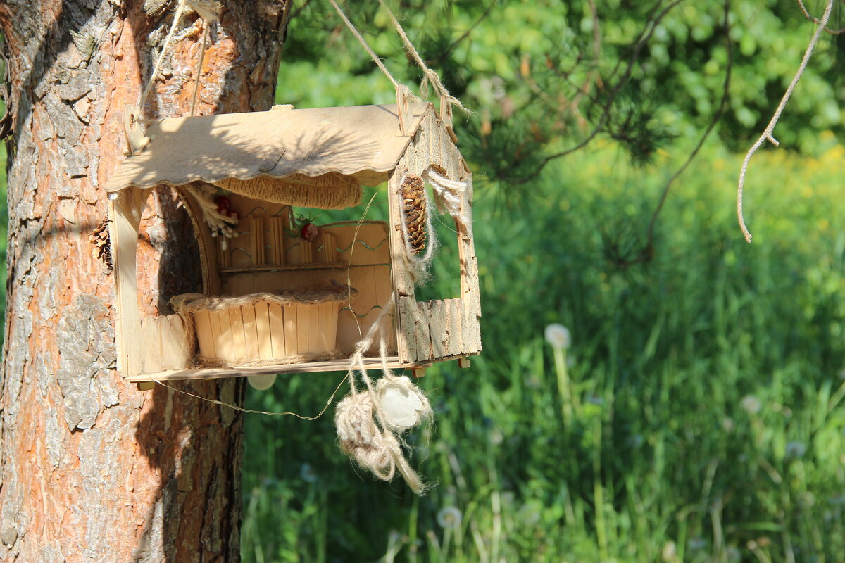 В парке. - Венера Чуйкова