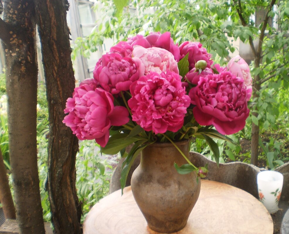 Июнь. - Венера Чуйкова