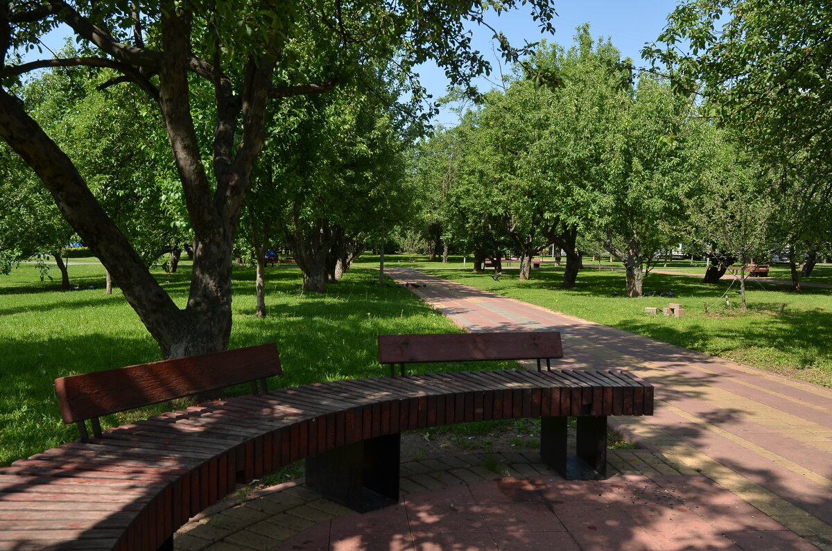 Сквер - Oleg4618 Шутченко