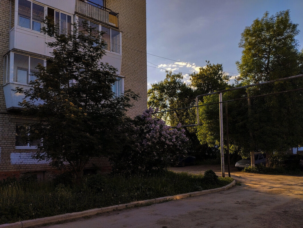 *** - Дмитрий Костоусов