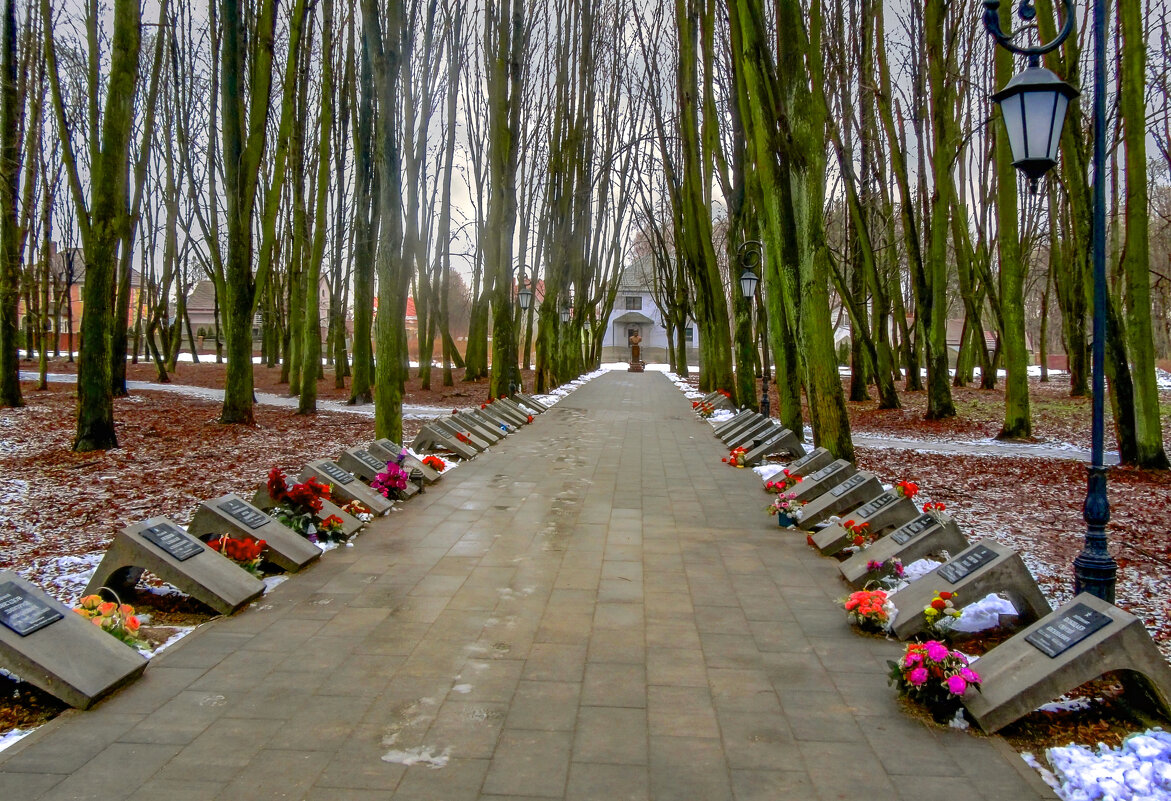 Аллея Славы - Сергей Карачин
