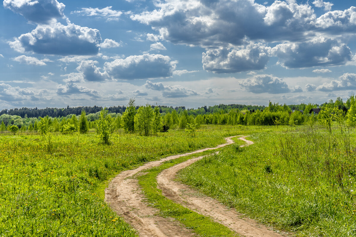 Просёлок - Владимир Езеров 