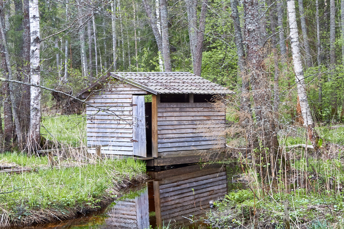Купальня на реке Кибелек - Алексей Р.