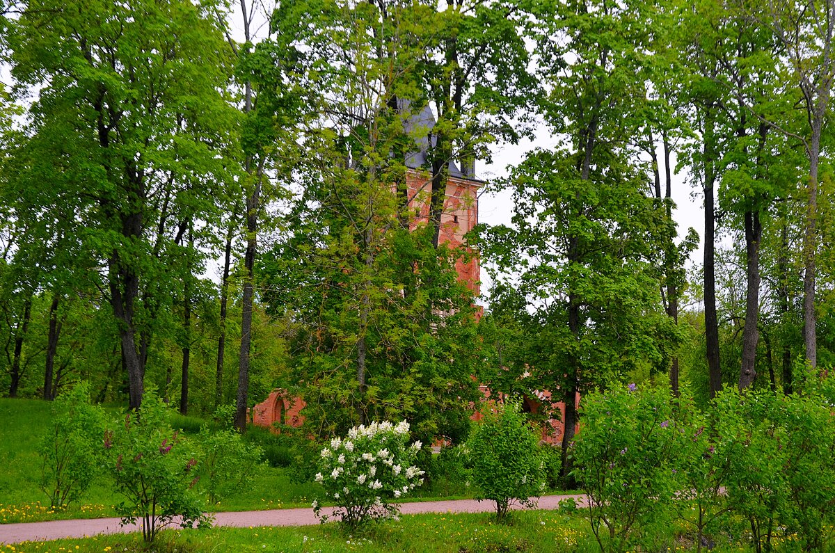 Шапель и лето... - Sergey Gordoff