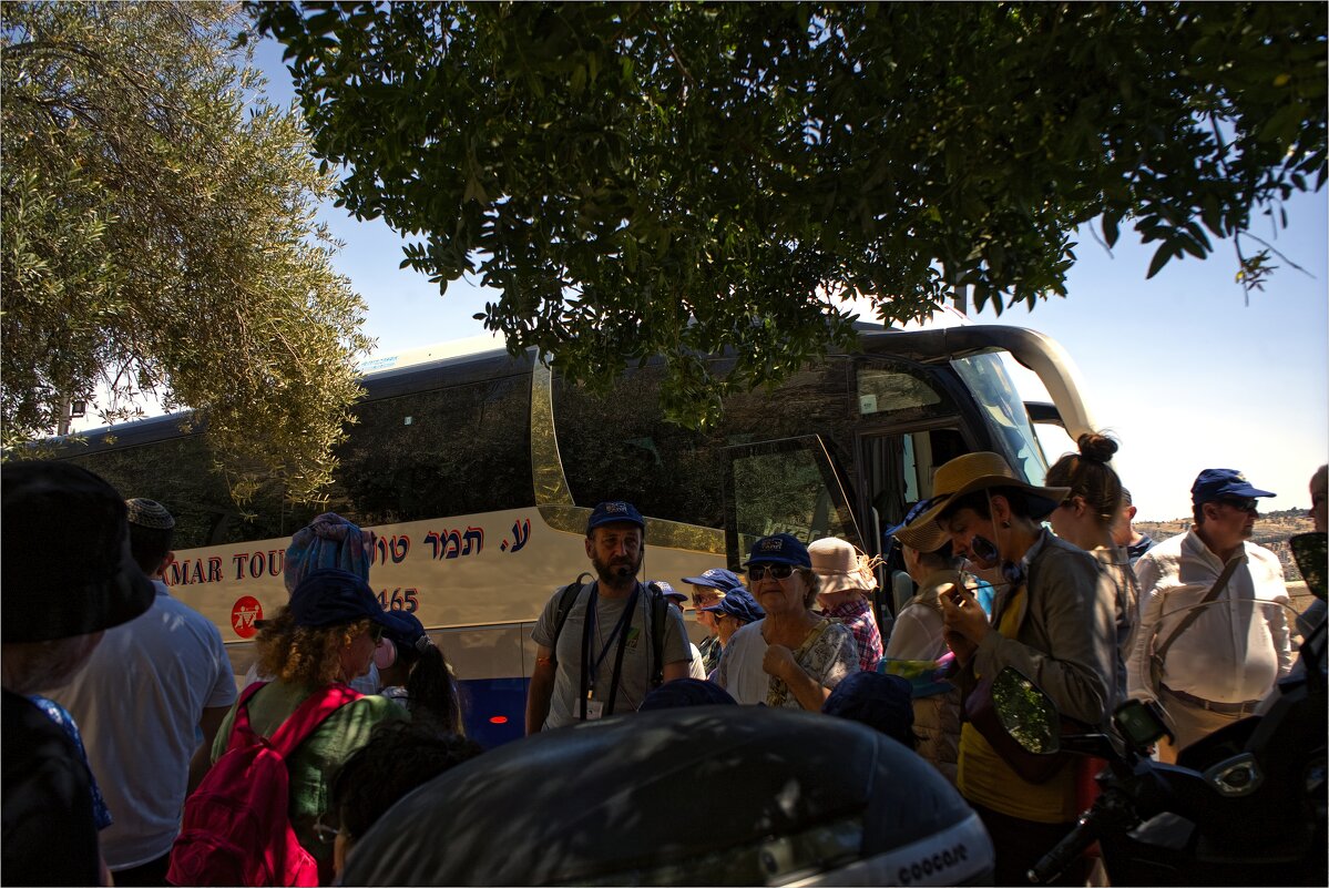 Иерусалим 23.05.2025г - ujgcvbif 