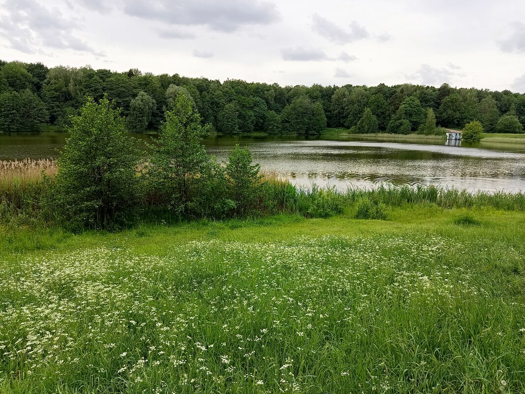 Сегодня облачно - Андрей Лукьянов Сегодня облачно - Андрей Лукьянов