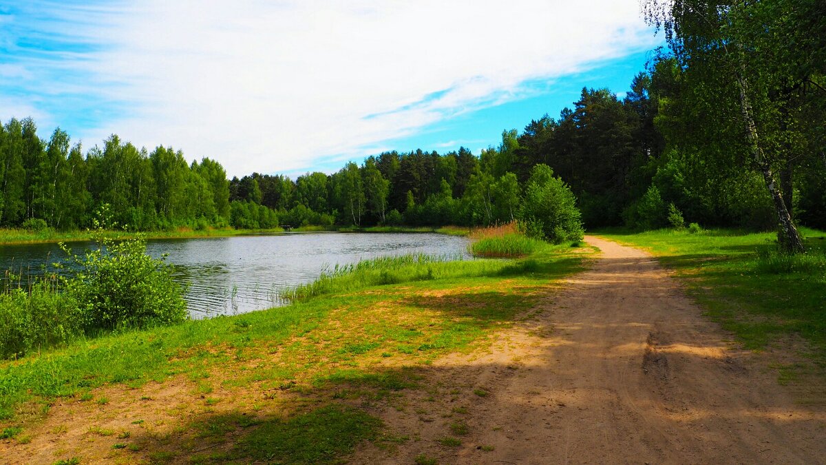 Наше лето - Милешкин Владимир Алексеевич 
