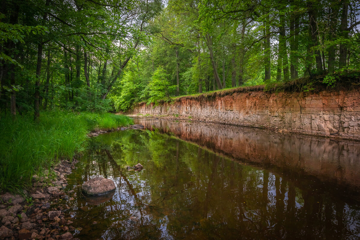 **** - Елизавета .