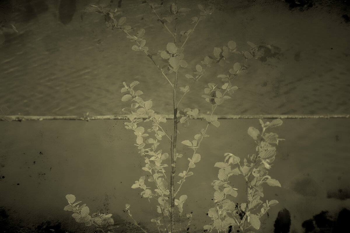 Назва. отсу. - Денис Безногов Назва. отсу. - Денис Безногов