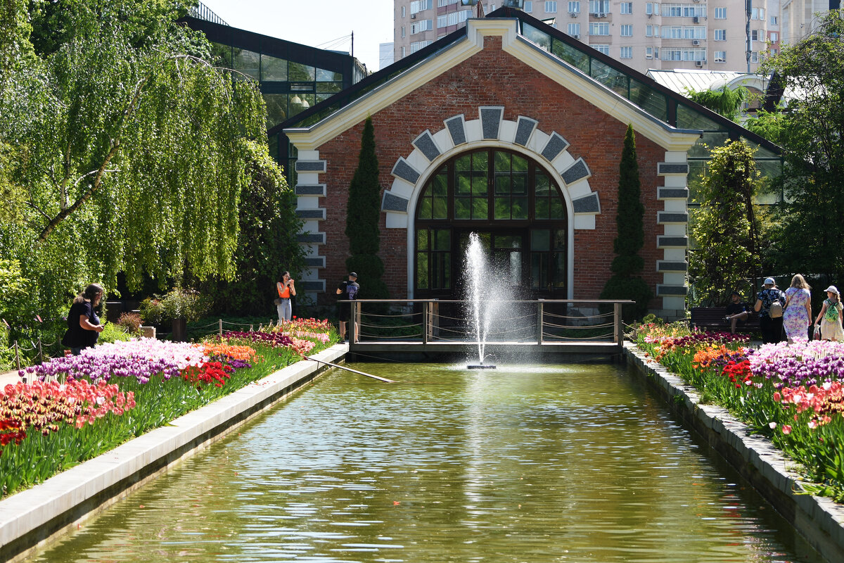 Москва. Весна в Аптекарском... - Наташа ***** Москва. Весна в Аптекарском... - Наташа *****
