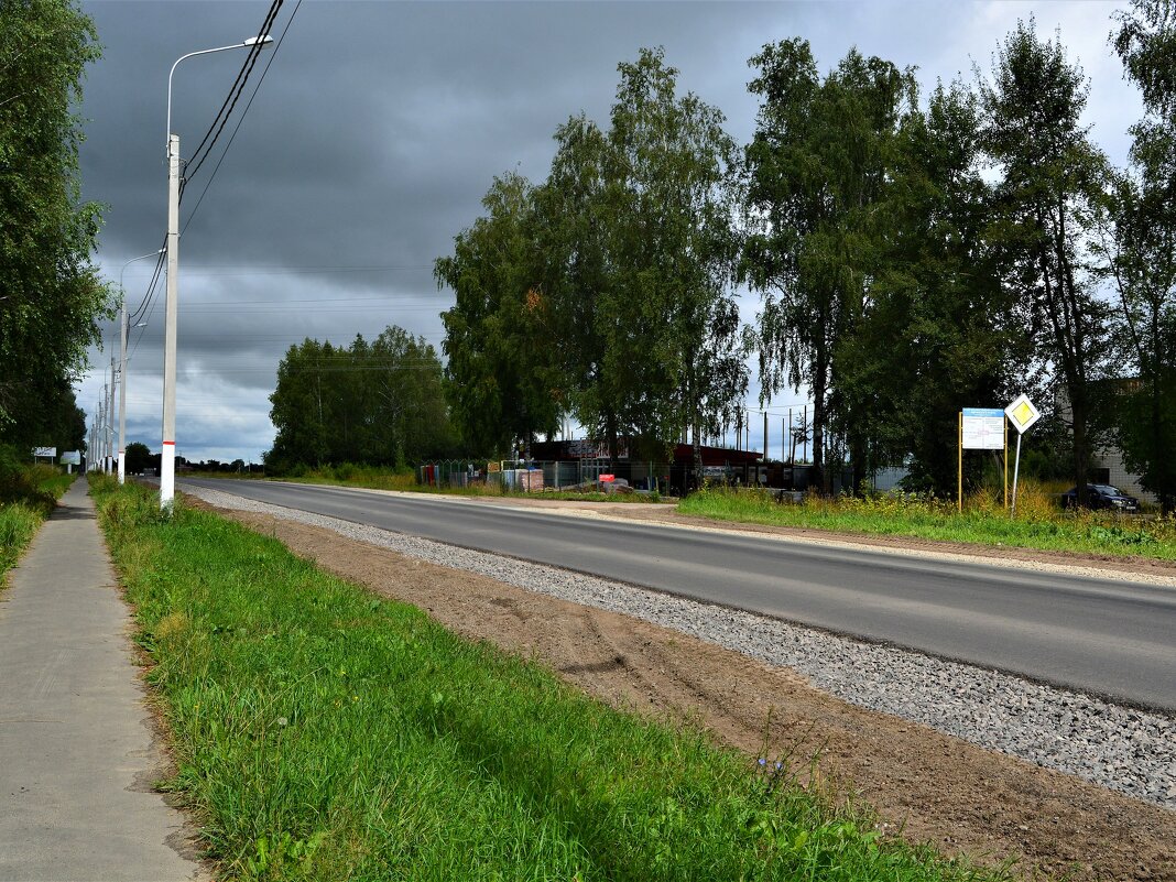 Ядрин. Берёзки вдоль автомобильной дороги 97К-006. - Пётр Чернега Ядрин. Берёзки вдоль автомобильной дороги 97К-006. - Пётр Чернега