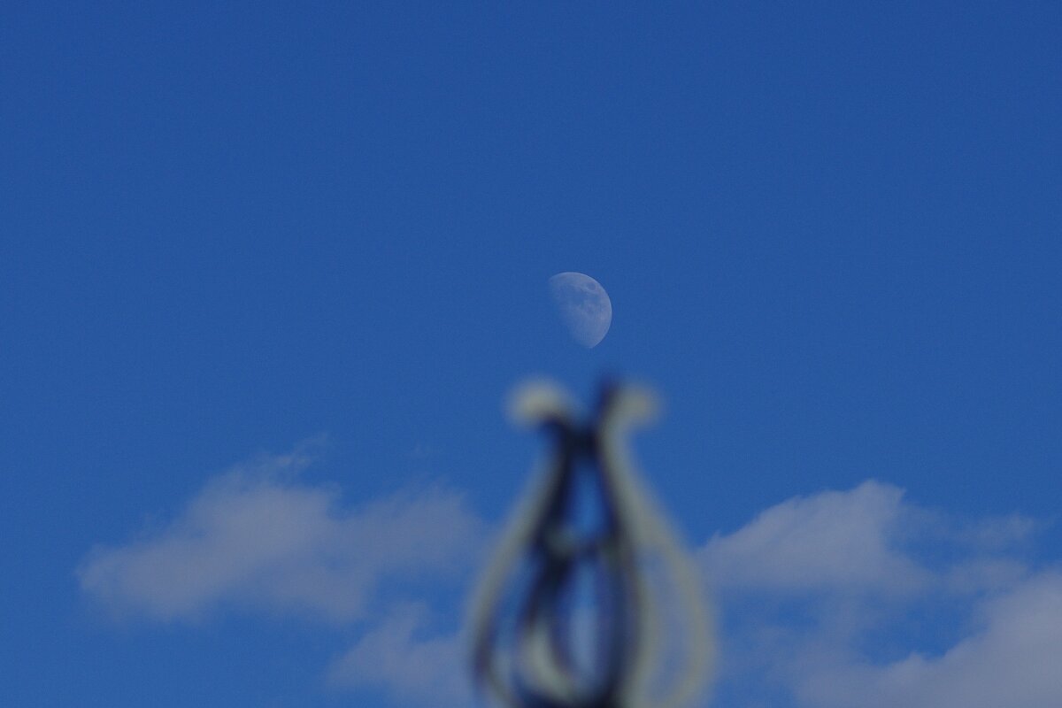 Месяц на небе - Сергей Швечков