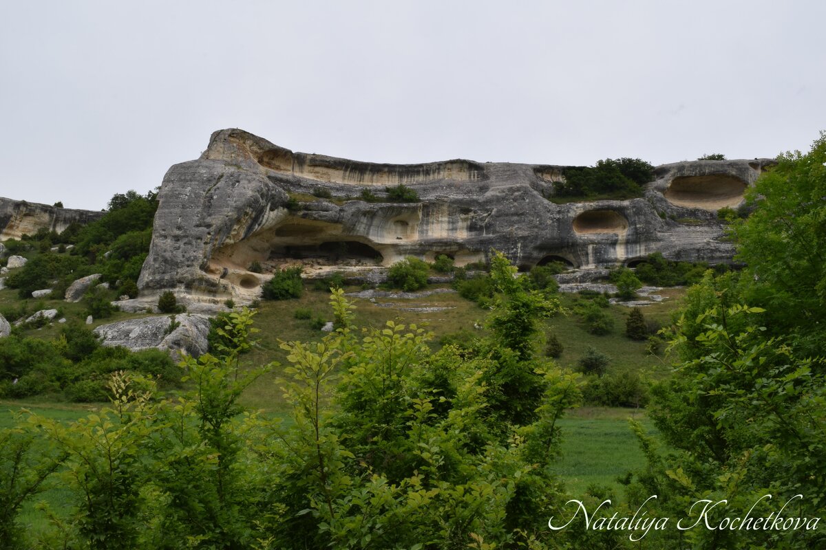 Природа Крыма - Amazing Cosmea Природа Крыма - Amazing Cosmea
