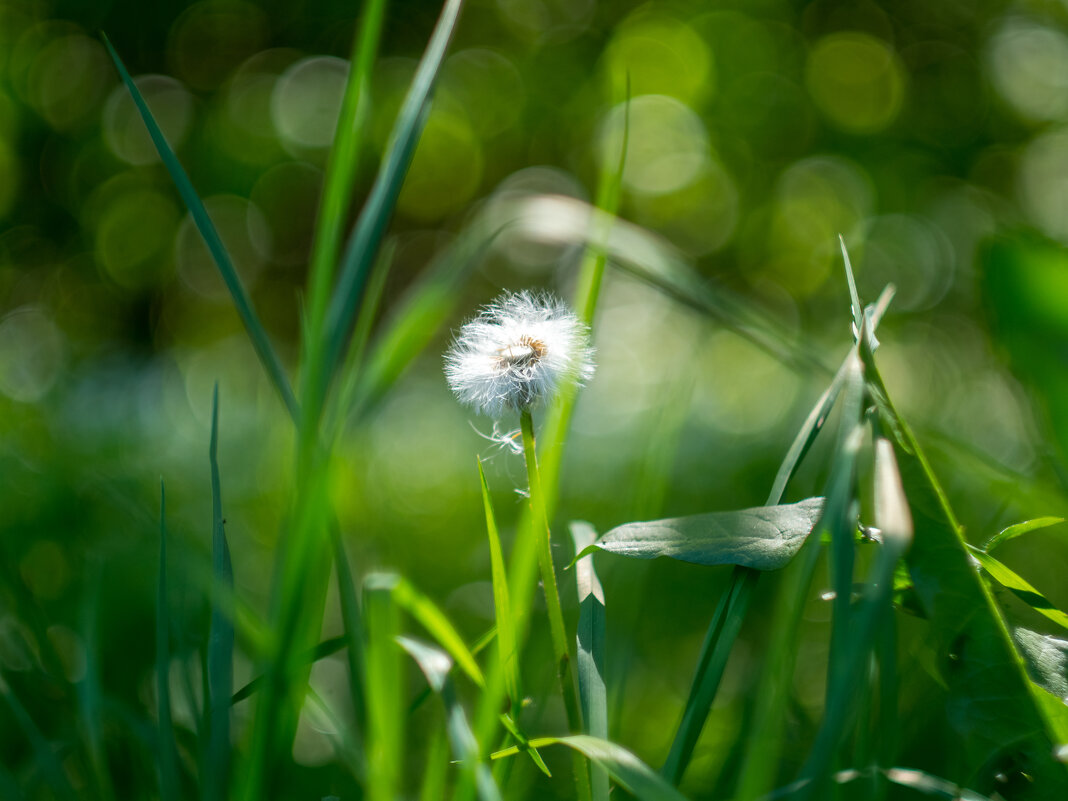 ___ - Yuriy V ___ - Yuriy V