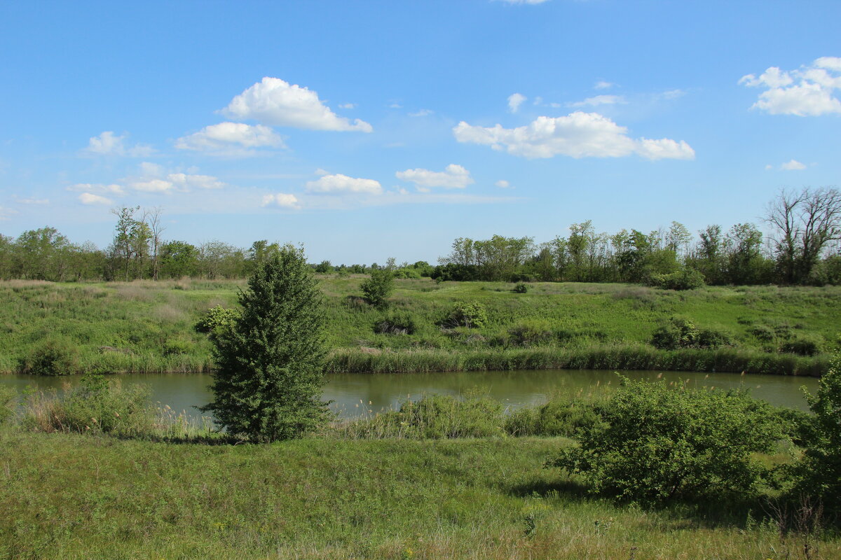 У реки. - Виктор 