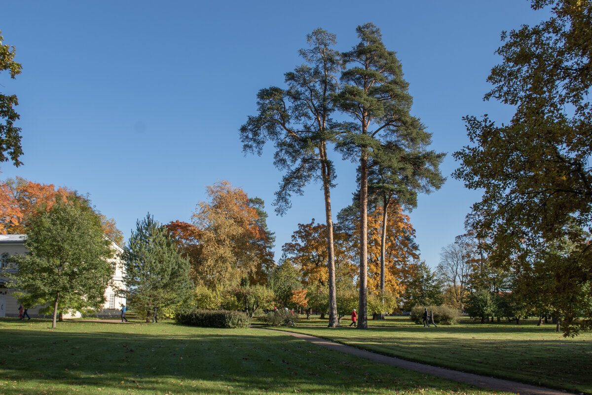 Октябрьский день в Александрии - Борис Генкин Октябрьский день в Александрии - Борис Генкин