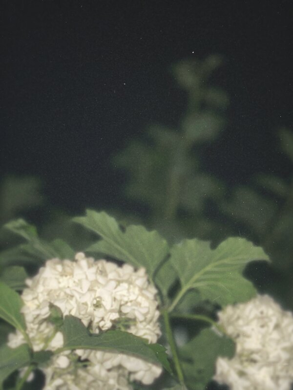 Ночь - Евгения Мокшина