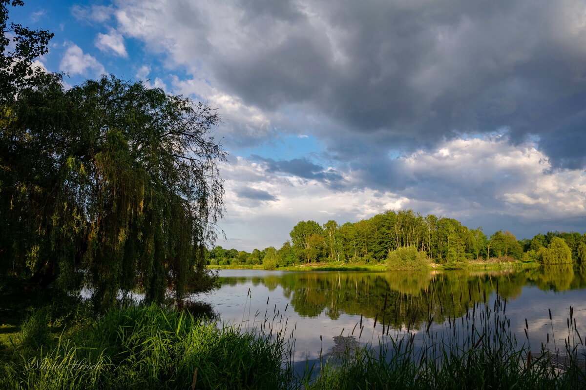 Озеро в мае... - Николай Гирш Озеро в мае... - Николай Гирш