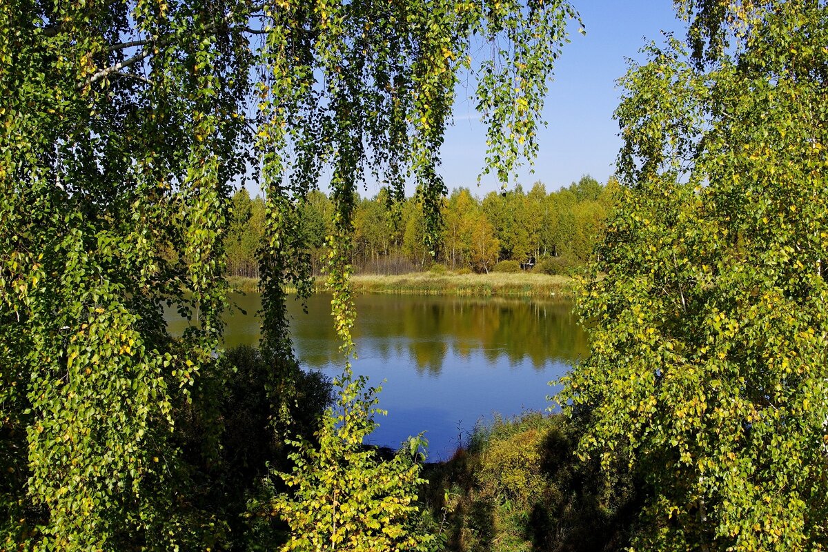 На берегу озера - Сергей Швечков На берегу озера - Сергей Швечков