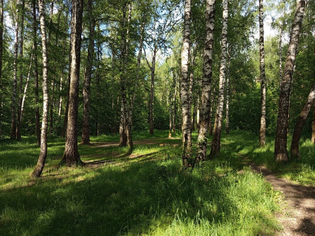 Разъиюнилось - Андрей Лукьянов Разъиюнилось - Андрей Лукьянов