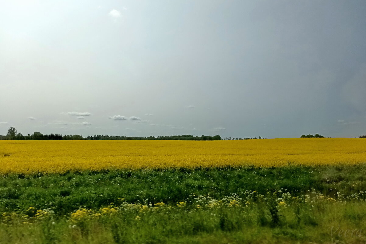 Далеко ли от Таллина ... - Veera V