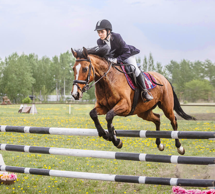 Конкур - SanSan 