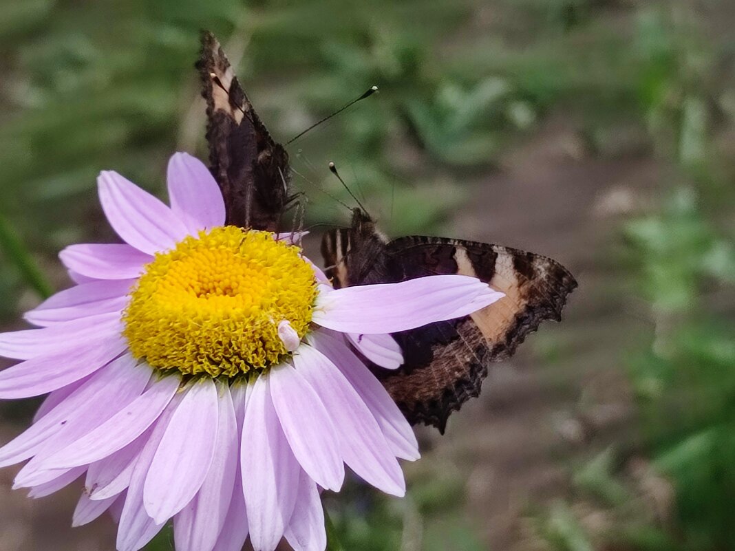 Переговоры - Валентина Богатко 