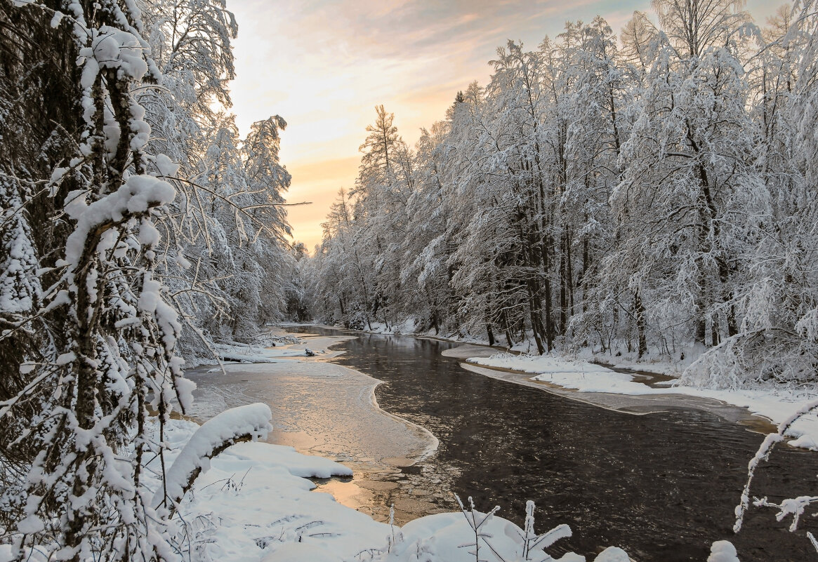 Линдуловская роща - skijumper Иванов Линдуловская роща - skijumper Иванов